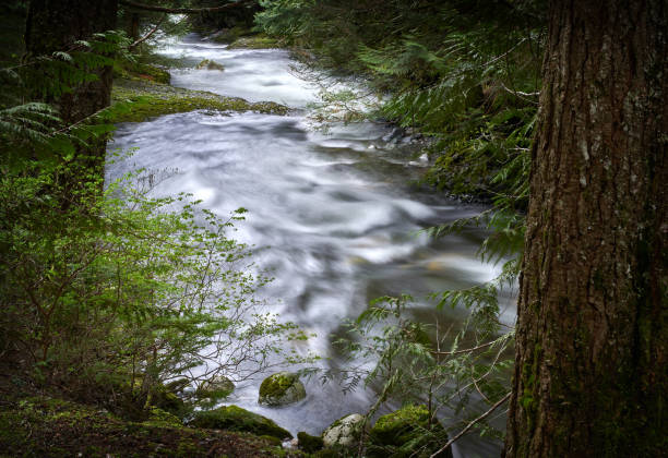 Brandywine Creek just above the falls. Whistler, British Columbia, Canada.