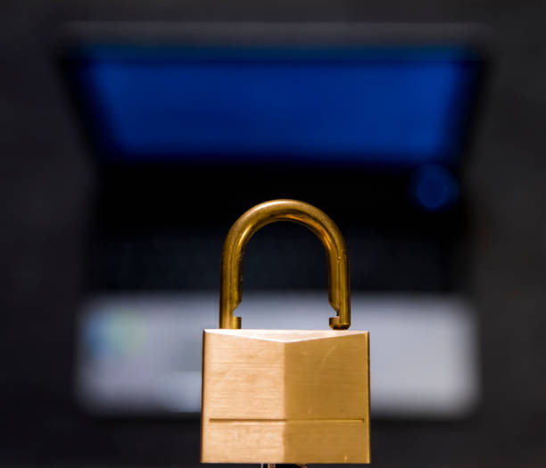 istock Ransomware has locked millions of computers all around the world 683818782