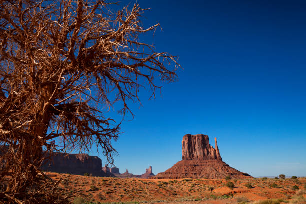 istock West Mitten Butte in Monument Valley, Arizona, USA 683826128