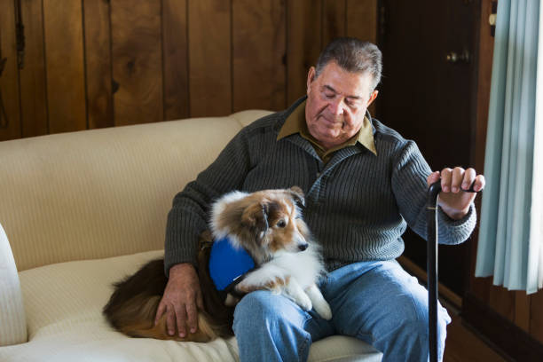 istock Senior man sitting with his therapy dog 683826668