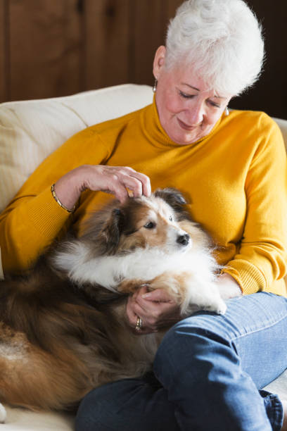 istock Senior woman sitting on couch with her dog 683826804
