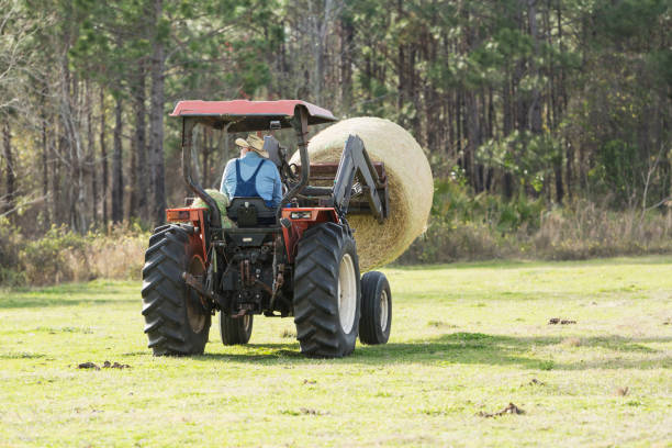 istock Farmer on tractor moving bale of hay 683827360