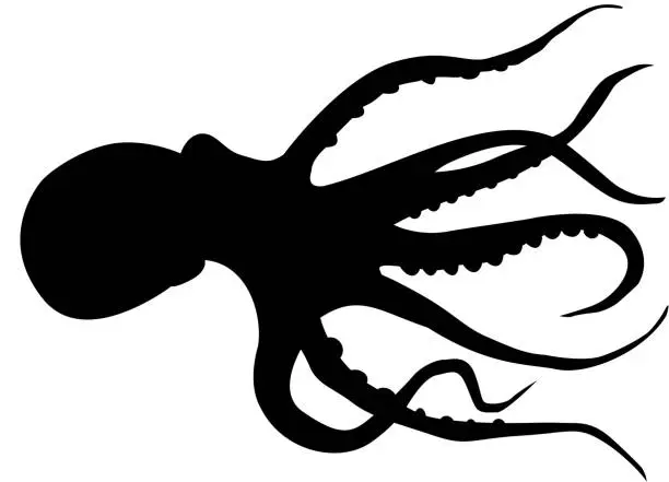 Vector illustration of octopus