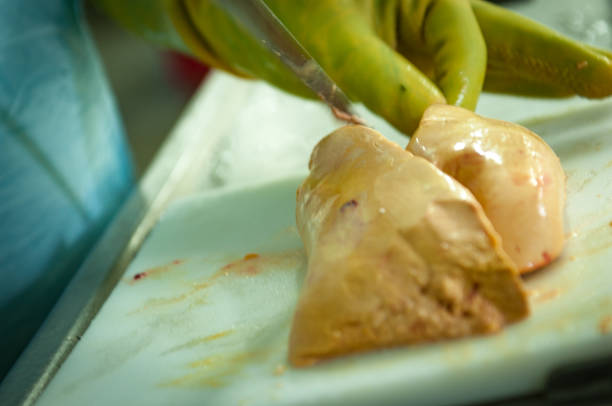 Foie Gras - Production Line Poultry slaughterhouse workers, cleaning the goose to prepare foie gras for export. Noble meat a French delicacy, consumed in several countries of the world including Brazil proteína stock pictures, royalty-free photos & images