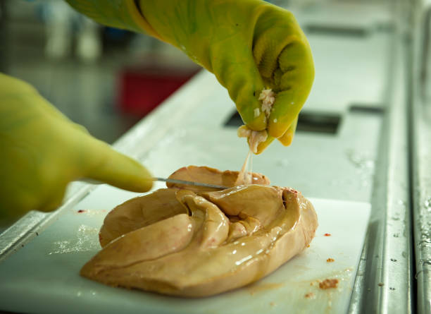 Foie Gras - Production Line Poultry slaughterhouse workers, cleaning the goose to prepare foie gras for export. Noble meat a French delicacy, consumed in several countries of the world including Brazil proteína stock pictures, royalty-free photos & images