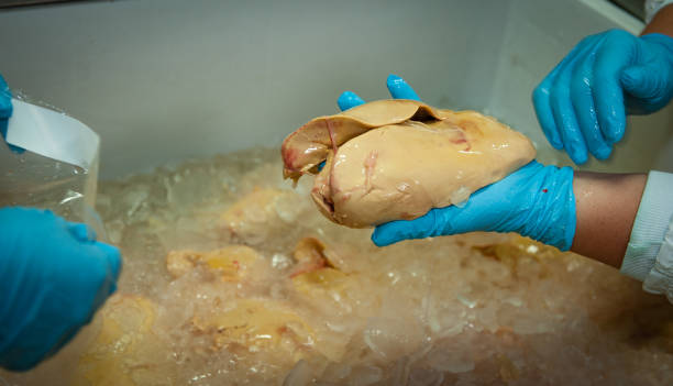 Foie Gras - Production Line Poultry slaughterhouse workers, cleaning the goose to prepare foie gras for export. Noble meat a French delicacy, consumed in several countries of the world including Brazil proteína stock pictures, royalty-free photos & images