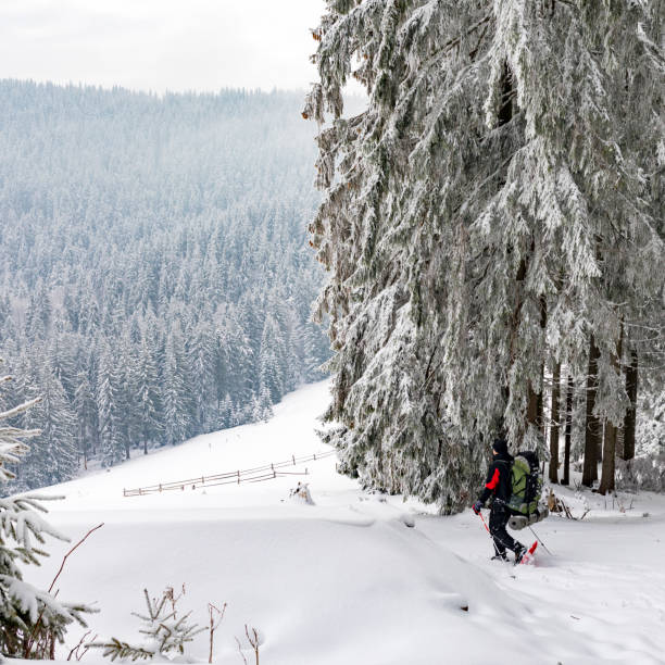 istock Man hiking in Carpathian mountains. 683844846
