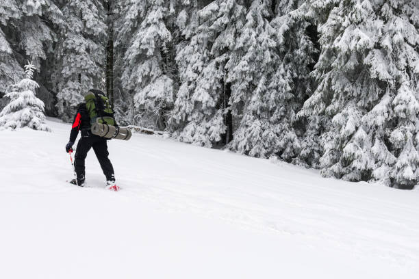istock Tourist in winter forest. 683844848