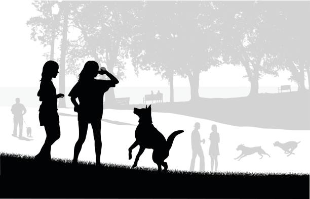 dog park play - dog retrieving german shepherd pets stock illustrations