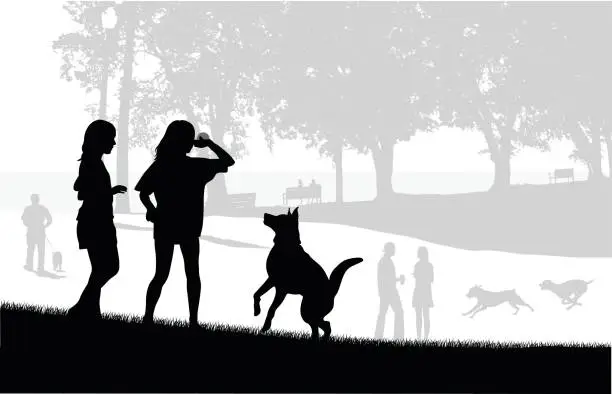 Vector illustration of Dog Park Play