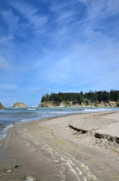 istock Paddle Boarder In Sunset Bay State Park, Oregon 683849970