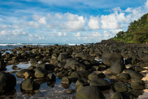 istock Hawaiian island shore 683855750