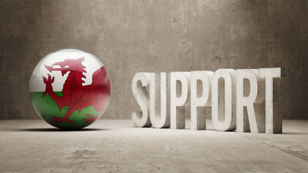 ilustrações de stock, clip art, desenhos animados e ícones de support concept - welsh culture wales welsh flag dragon