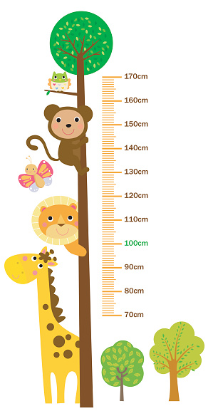 The child's height illustrations