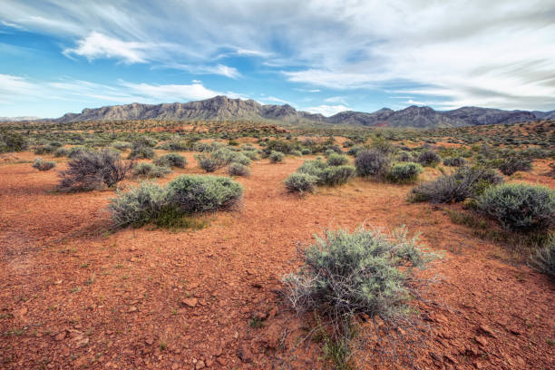 istock Valley of Fire State Park, Dessert, Navada 683879486