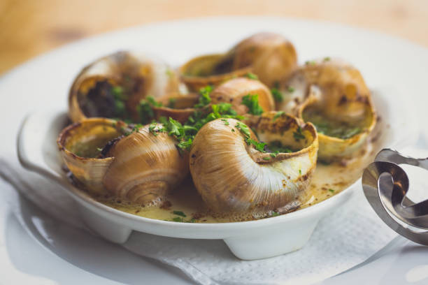 蝸牛 - gourmet snail food escargot ストックフォトと画像