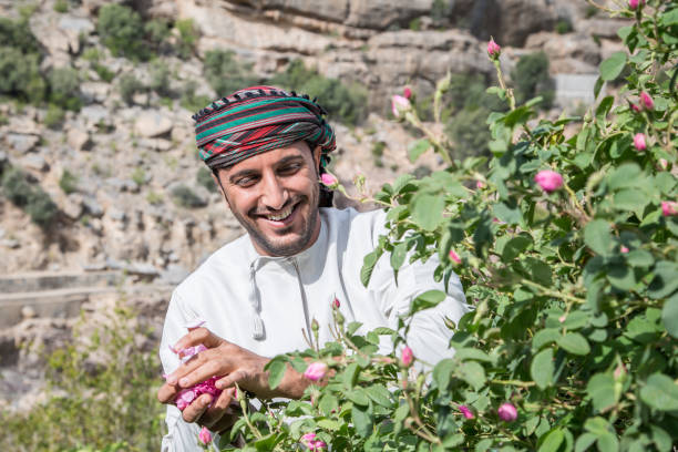 homem novo do omani que coleta pétalas cor-de-rosa - harbor - fotografias e filmes do acervo