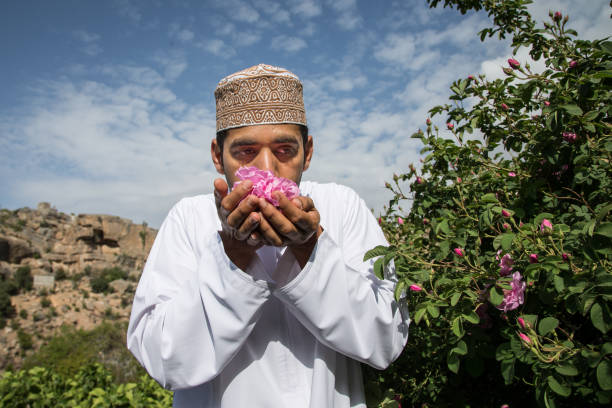 Jabal Al Akhdar, Oman, April 7th, 2016: Omani man smelling rose petals