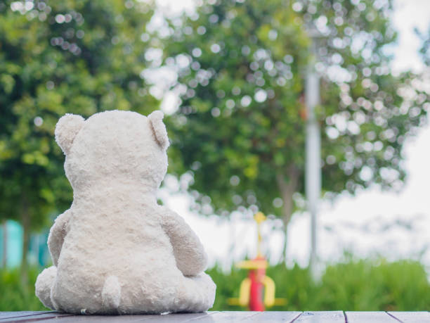 istock Lonely Teddy Bear Sitting on the walk way or road (Concept about love) 683891524