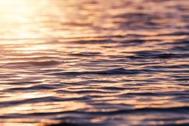istock soft focus Sea wave, surface water,water curve, water background at sunset time 683901052