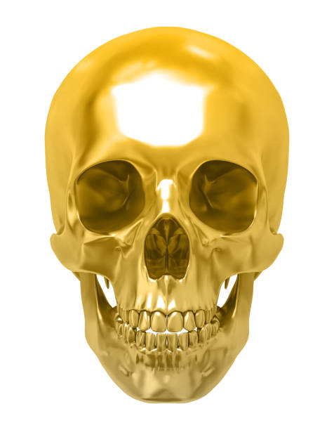 istock Golden human skull, isolated against the white background 683904934