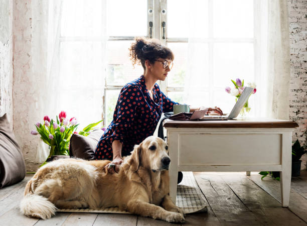 mujer acariciando perro goldent retriever - pets table animal cheerful fotografías e imágenes de stock