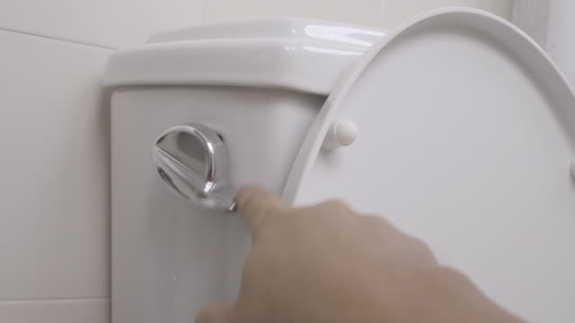 Flushing Toilet 4K