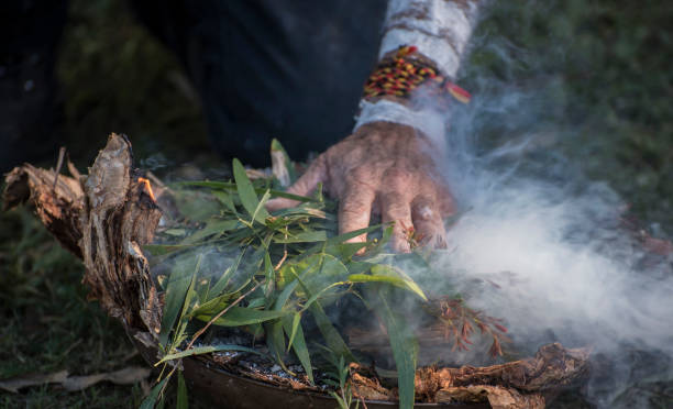 la mano dell'anziano aborigeno mette in fiamme le foglie di eucalipto. - cerimonia foto e immagini stock