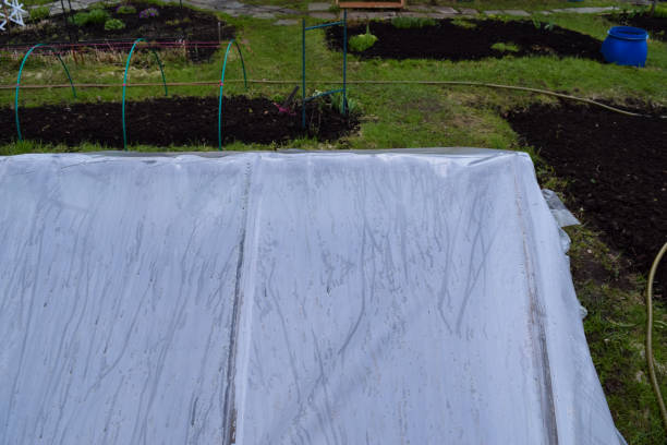 istock Traditional Russian Village (Holiday Village) 683919188