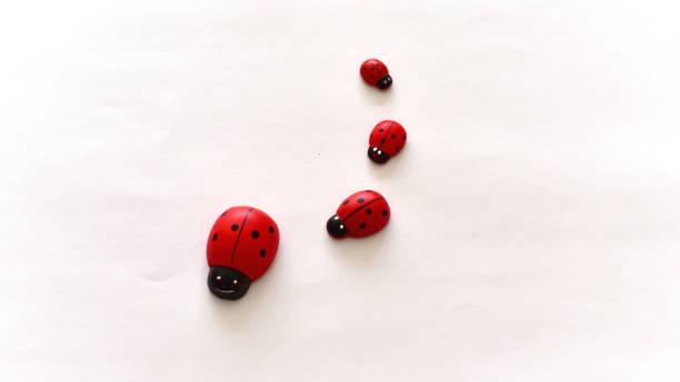 istock rows of wooden ladybirds on white background 683923002