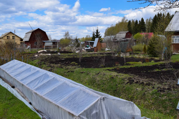 istock Traditional Russian Village (Holiday Village) 683936622