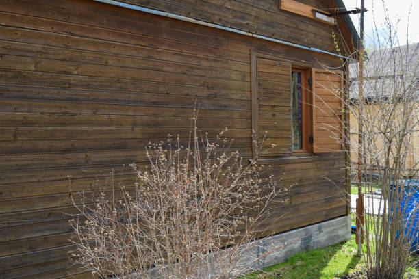 istock Traditional Russian Village (Holiday Village) 683939918