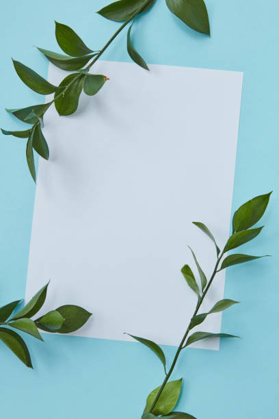 istock Postcard decorated branches of leaves 683945400