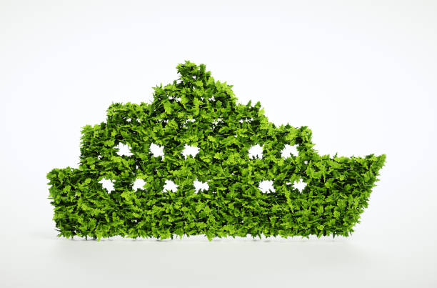 istock Ecology ship concept. 3D illustration of a green ship isolated on white. 683948162