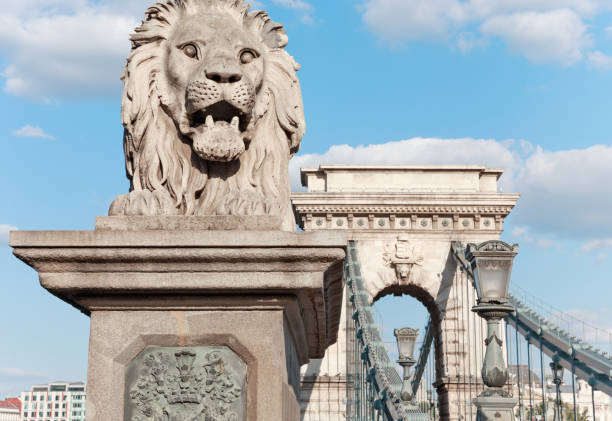 istock Budapest. Hungary. Lion of a Chain bridge 683951100