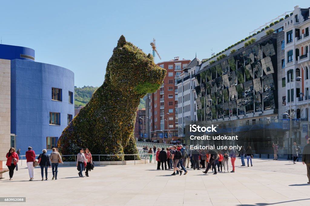 overskridelsen løst Avenue Personer Av Guggenheim Bilbao Huvudentrén Med Jeff Koons Blomma Hund-foton  och fler bilder på Jeff Koons - iStock