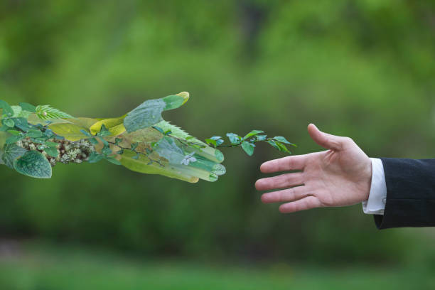 Green energy Hand of a businessman reach out towards hand of the nature environmental issues photos stock pictures, royalty-free photos & images