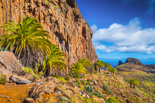 Beautiful view of remote hiking trail running through scenic tropical volcanic mountain scenery with palm trees and rocks on a sunny day with blue sky and clouds in summer, Canary Islands, Spain