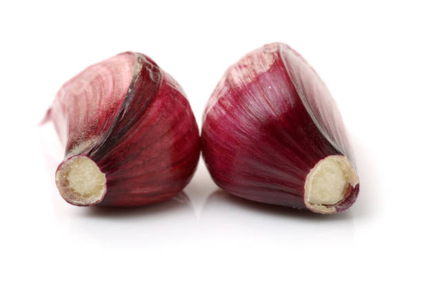 istock Raw Red Garlic  isolated  on white background 683966646
