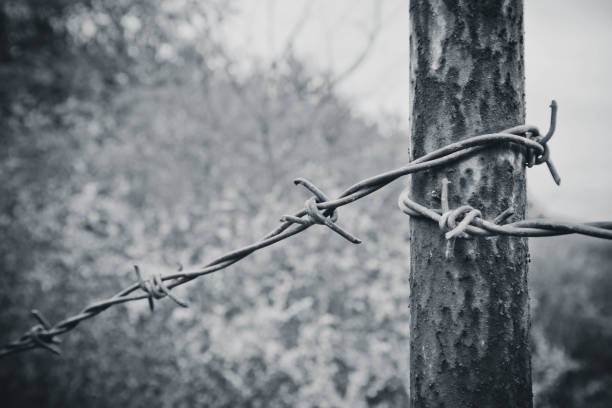 istock Old electrified fence with barbed wire. 683984710