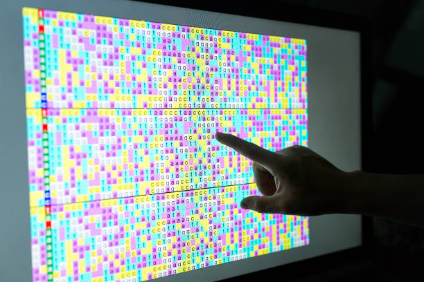 손으로 화면에 dna 코드 화면을 가리킨 - genetic screening 뉴스 사진 이미지