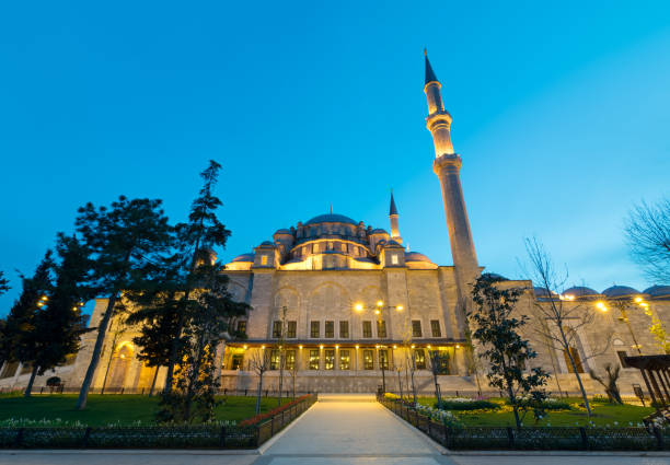 tir de nuit extérieur faible angle de la mosquée de soliman le magnifique, une mosquée impériale ottomane située à istanbul en turquie et la deuxième plus grande mosquée dans la ville. construite en 1557 - istanbul surrounding wall suleymanie mosque turkey photos et images de collection