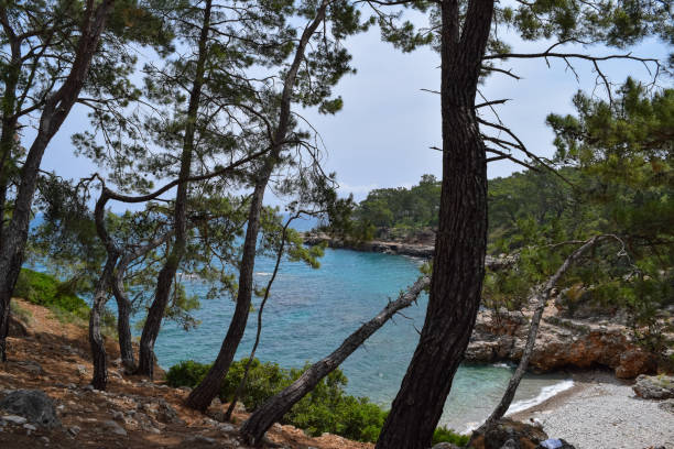 istock Phaselis Ancient City forest. Northern Necropolis - cemetery with elaborate tomb monuments. Turkey. Asia Minor 684005642