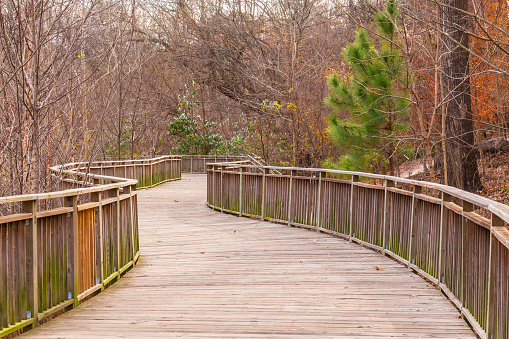 Boardwalk in Piedmont Park, Atlanta, USA