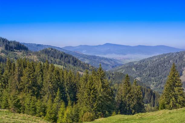 istock Romanian mountains with sky and perfect whather 684008450