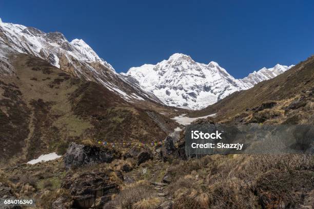 Annapurna Mountain Massif From Mbc Annapurna Base Camp Trek Nepal Stock Photo - Download Image Now