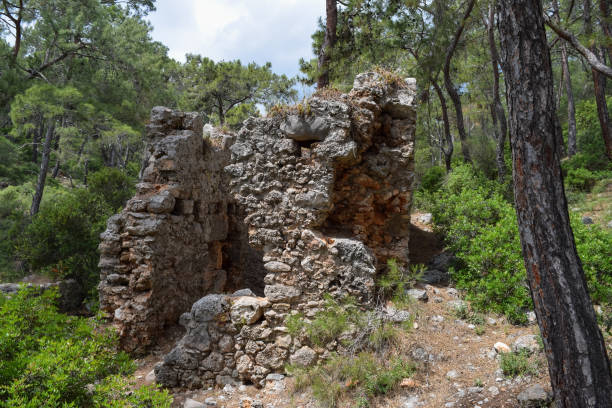 istock Phaselis Ancient City forest. Northern Necropolis - cemetery with elaborate tomb monuments. Turkey. Asia Minor 684032194