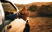 weibliche-beine-ragte-aus-einer-pick-up-lkw-fenster.jpg?b=1&s=170x170&k=20&c=85i28D8cF81ABEiW7FWUUk3sfU7hUfY0k7ET1s2chus=