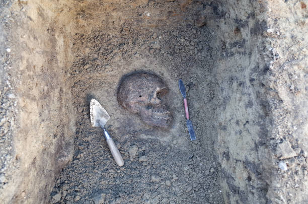 istock Archaeological excavation with skeletons 684055798