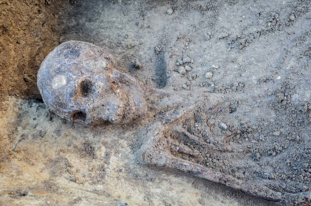 istock Archaeological excavation with skeletons 684055922